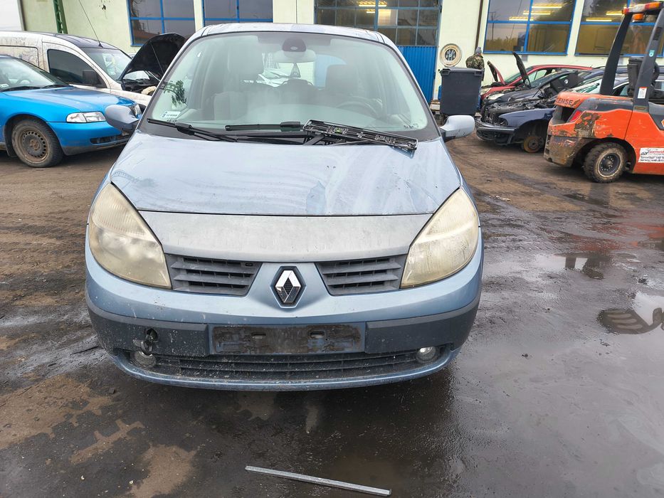 Renault Megane II , 2004r, 1.6 Pb - na części.