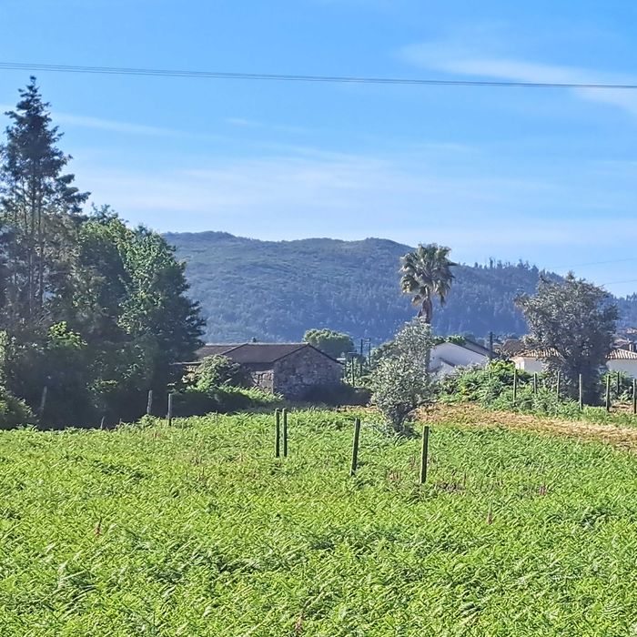 Vende-se Quinta com área urbana no centro de Fataunços, concelho de Vouzela