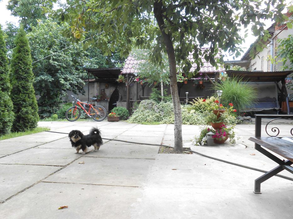 Здам Дом Будинок по суточно 5хв до Термального басейнуЗакарпатя вільно