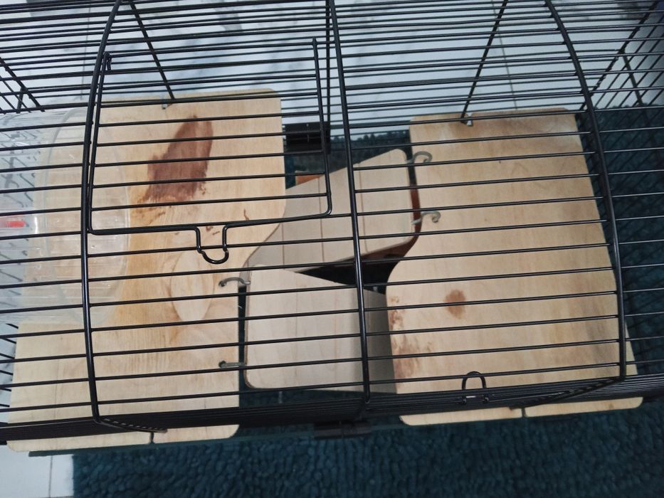 Szklana kuweta z klatką dla chomika myszki itp