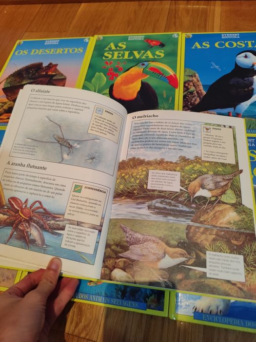 Enciclopédia dos Animais Selvagens – Coleção de Ecossistemas