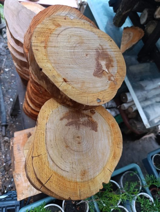 Срез Дерева Спил Панно Слеб