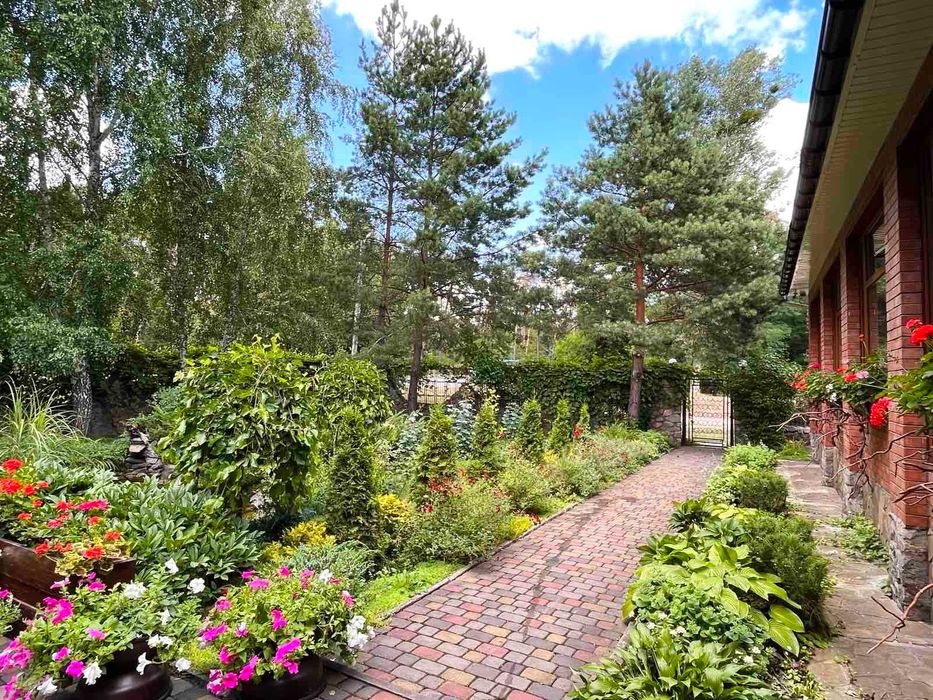 Будинок та бізнес (кафе) в одному місці с. Вільхи