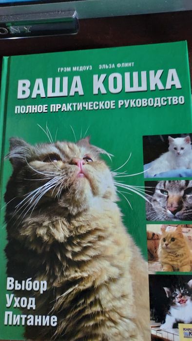 Ваша кошка Выбор Уход Питание