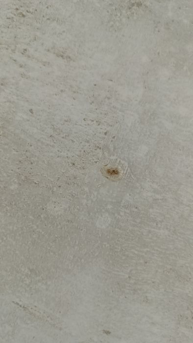 Sprzedam stół na działke lub do garażu