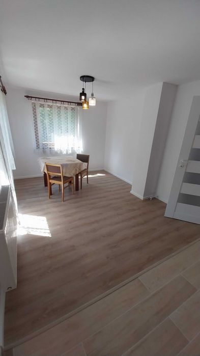 Działka ROD Bydgoszcz - Janowo - Widok 5