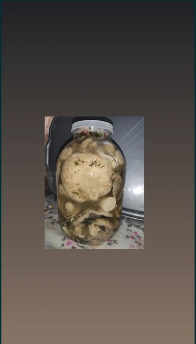 Гриби грузді квашені