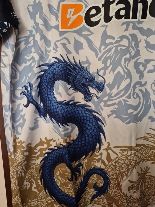 Lindíssima estampa de dragao varios tam
