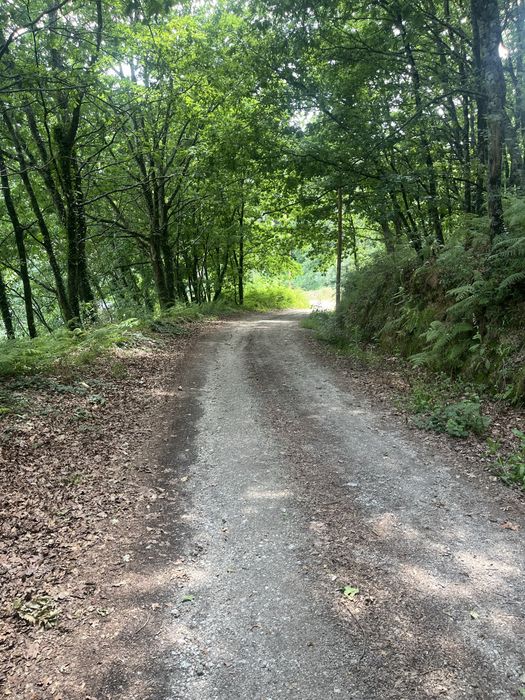 Moradia T3+1 em Gémeos, Guimarães