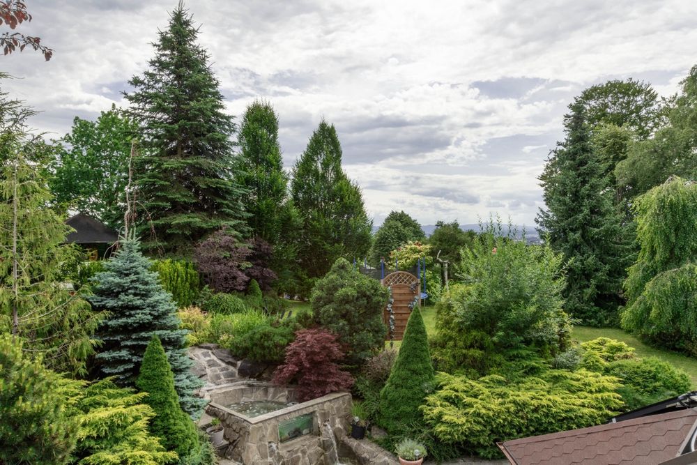 Promocja  Dom Basen Jaccuzi Sauna Bilard Grota w górach  wynajem