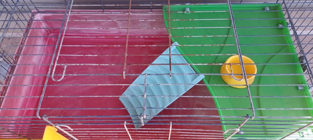 Gaiola jaula coelho anão porquinho da Índia roedores