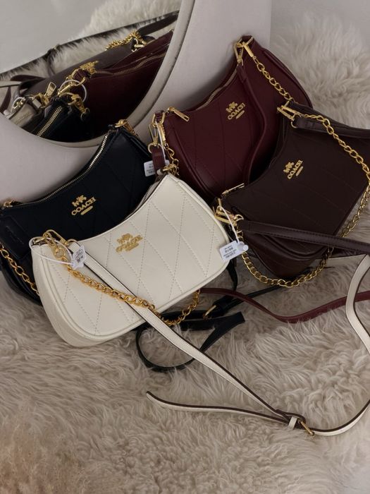 Сумка Coach Teri