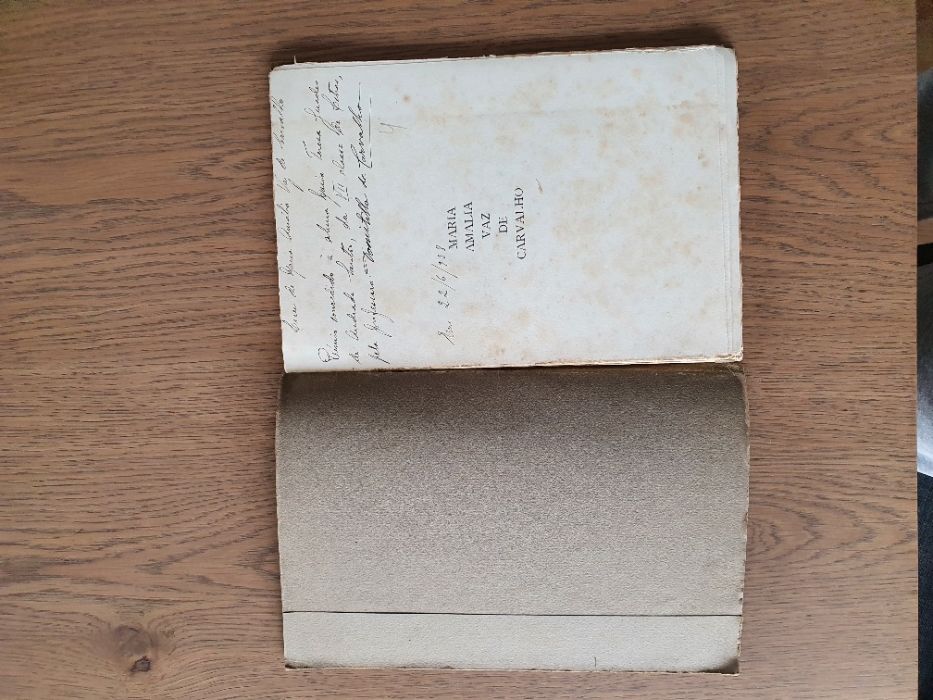 Livro Maria Amalia Vaz de Carvalho - Domitila de Carvalho