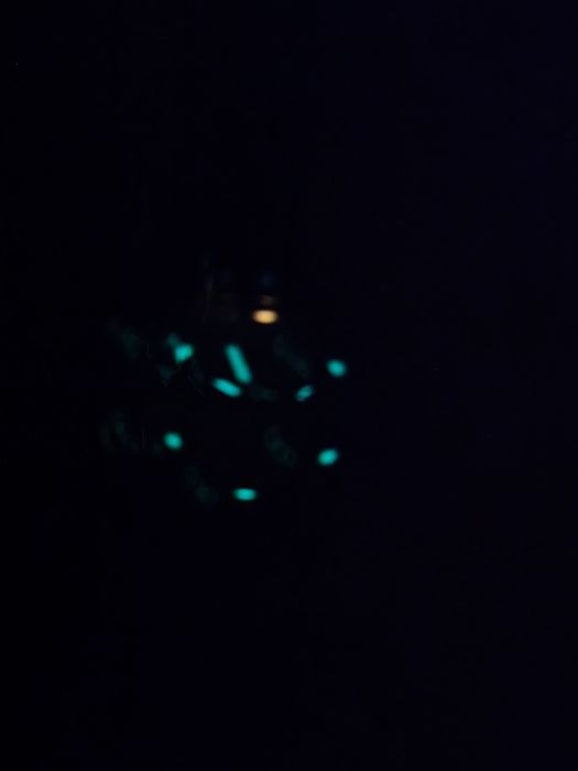 Zegarek Luminox  xs2055.1 dwa lion