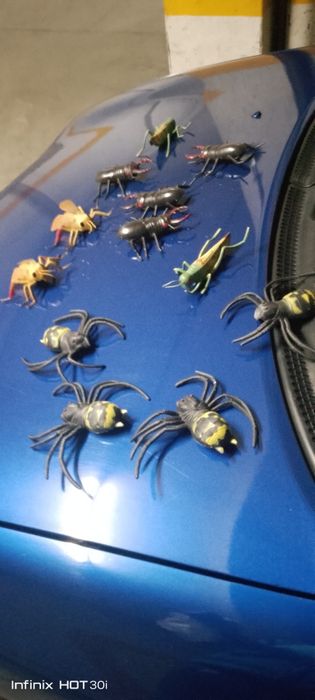 Insetos de plástico
