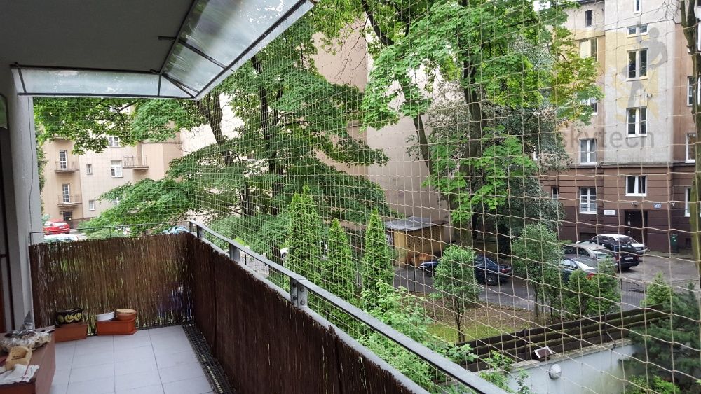 Siatka balkonowa dla kota. Siatka na balkon Siatka przeciw gołębiom