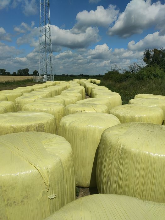 Sianokiszonka pierwszy pokos