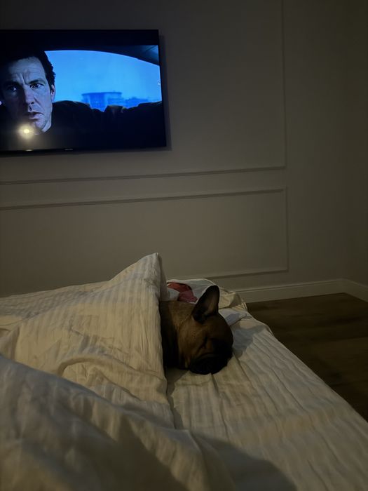 Індивідуальна перетримка ваших улюбленців. Собак. Зооняня. Лівий берег