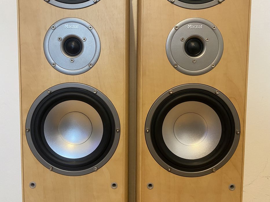 Акустика колонки Magnat Monitor 880