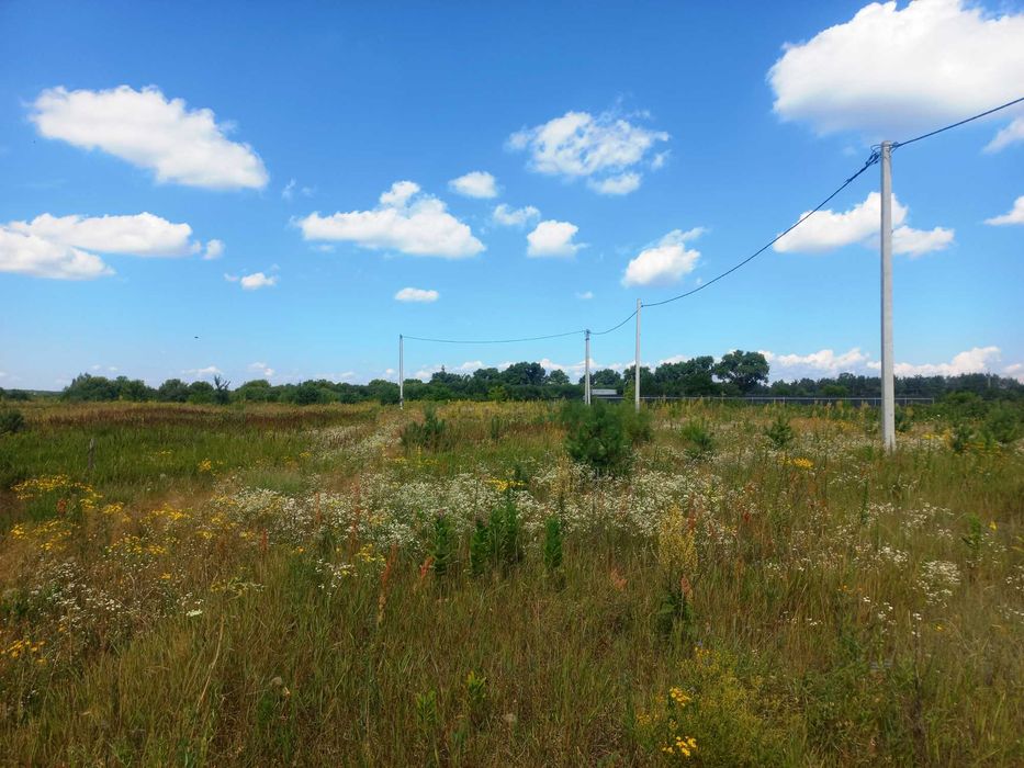Рожівка, 15 соток на житловій вулиці з комунікаціями