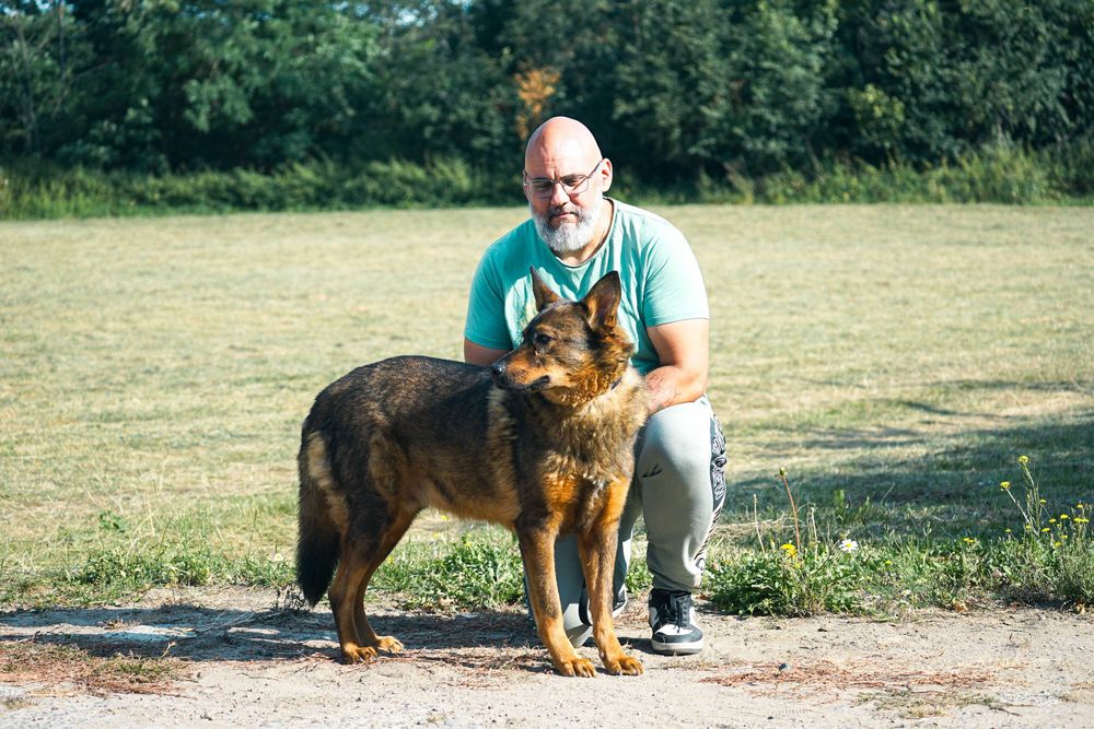 FEBEK - świetny pies szuka nowego domu