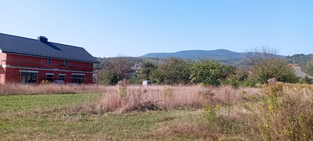 Продам земельну ділянку Голубине Закарпатської
