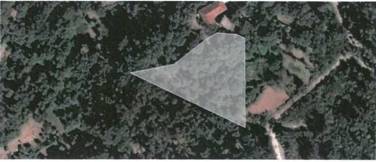 Quinta com Elevado Potencial Agrícola e Turístico