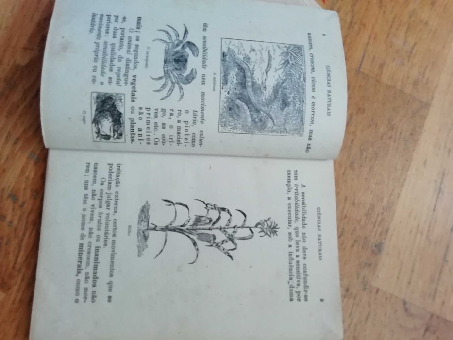 Livros muito antigos (1931)