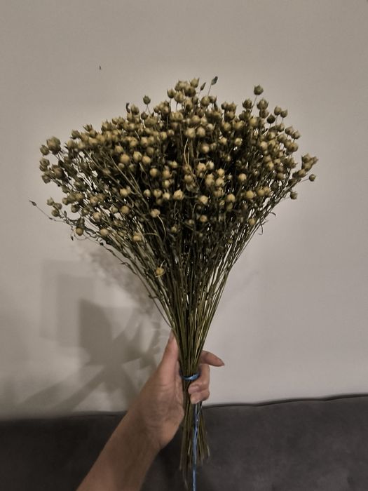 Льон просо для дідуха творчість декор