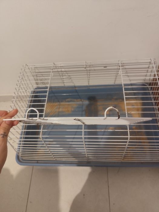Gaiola para coelho