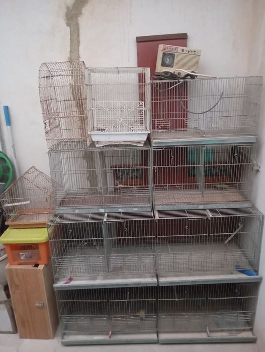 Gaiolas e viveiros para pássaros