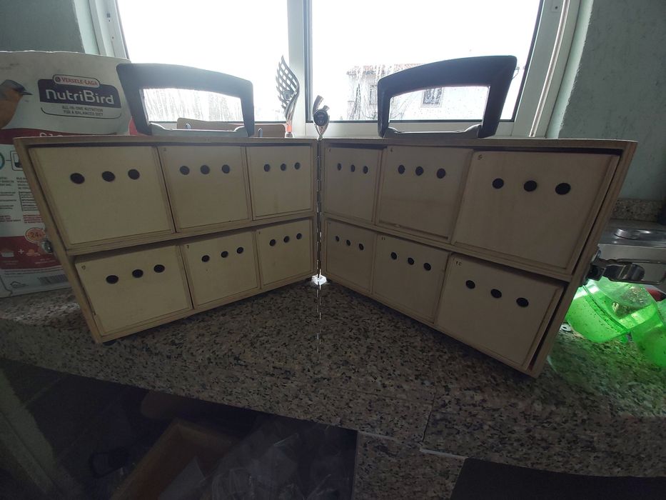 Transportadora 12 buracos