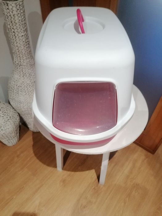 Casa de banho para gato