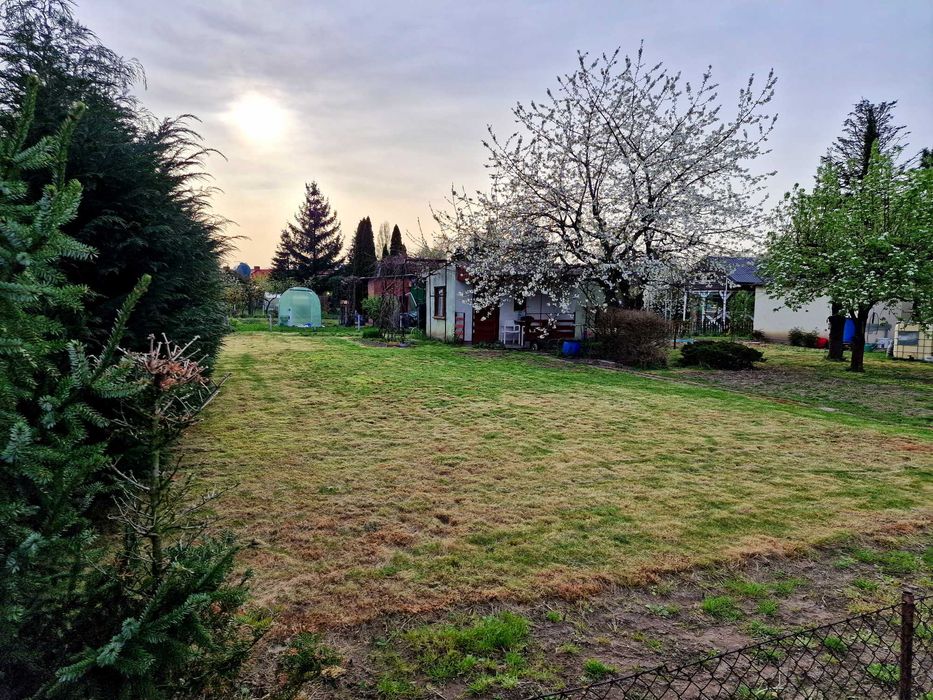 Działka Ogrodowa ROD Chłapowskiego Kościan, Pianowo