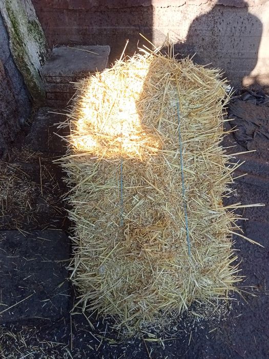 Продам солома 2025г.