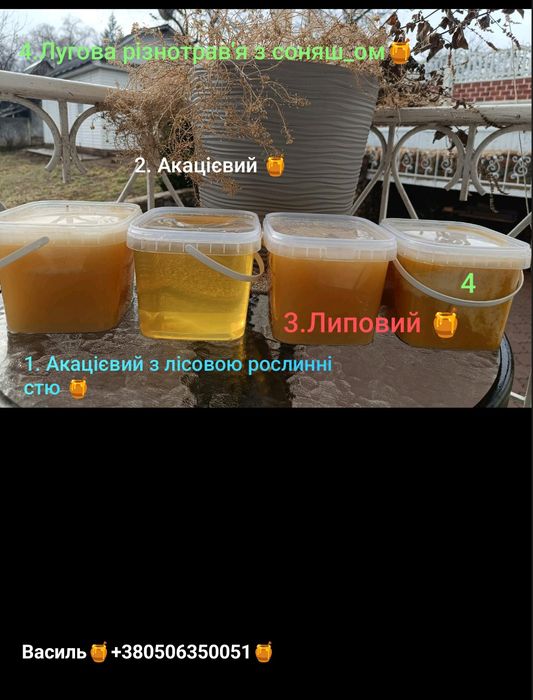 Мед акацієвий липовий гречаний мед в сотах пилок перга vtl