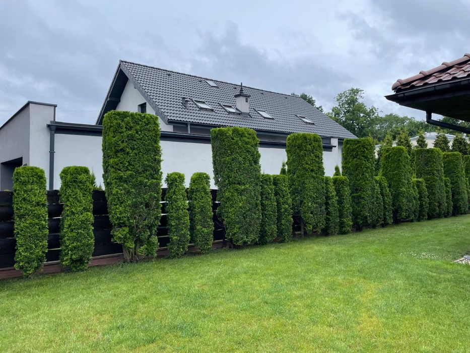 WYCINKA DRZEW, przycinanie żywopłotów, koszenie