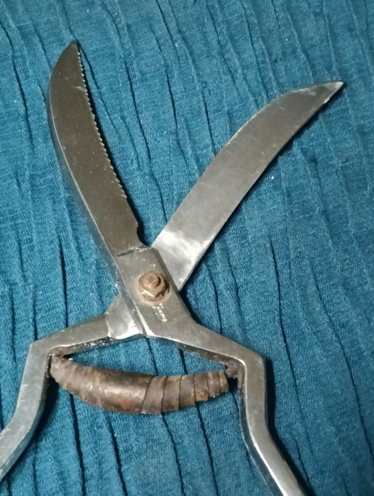 Tesoura de trinchar vintage