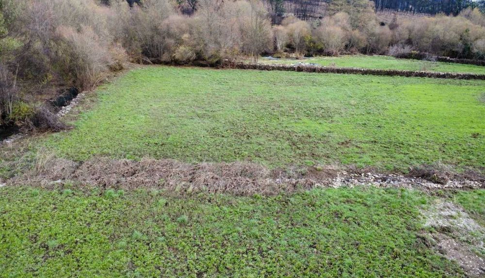 Terreno Rústico com Ribeiro