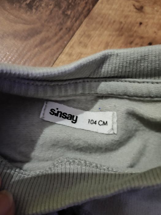 Bluza dinozaury r.104