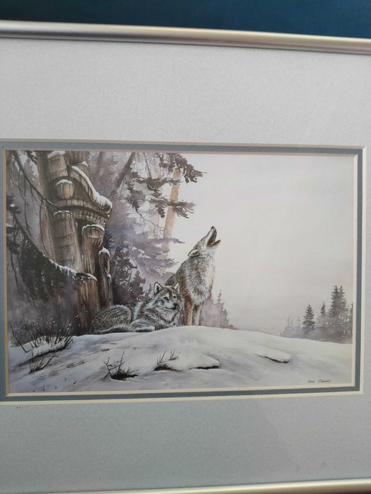 Grafika obraz autorstwa Sue Coleman sygnowana