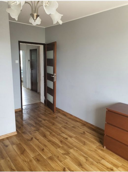 Mieszkanie do wynajęcia