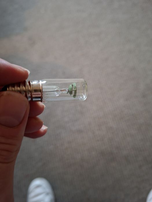 Żarówki neonowe retro-220V- 3 sztuki.