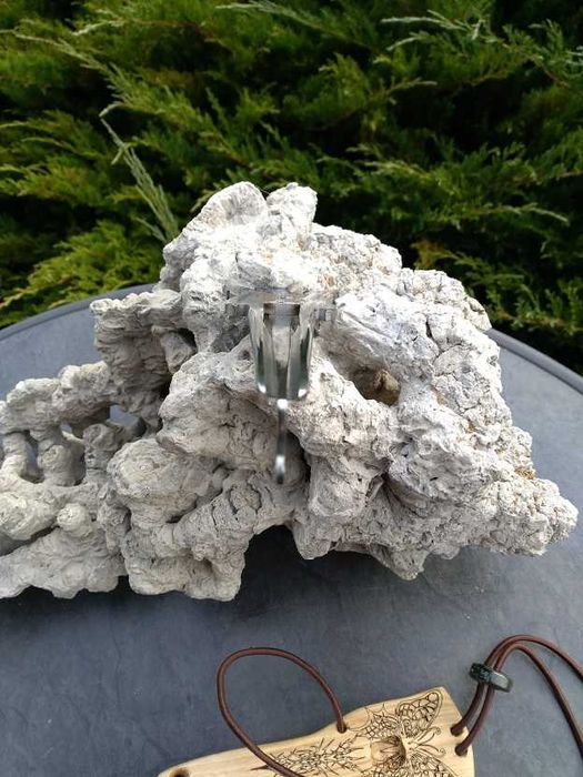 Drumla basowa - MOTYL - D