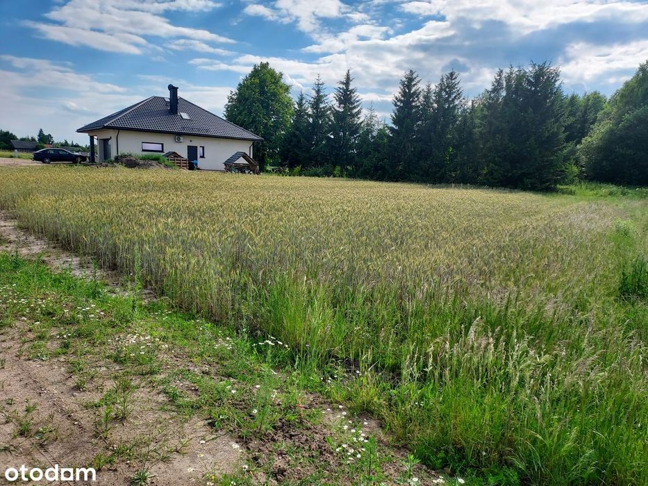 Czeremcha ul. Wiejska,1345 m² - wydane Warunki Zabudowy -do negocjacji - Więcej