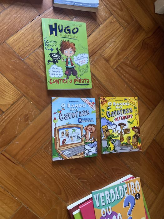 Livros juvenis Tea Stilton, Geronimo Stilton e outros, em bom estado