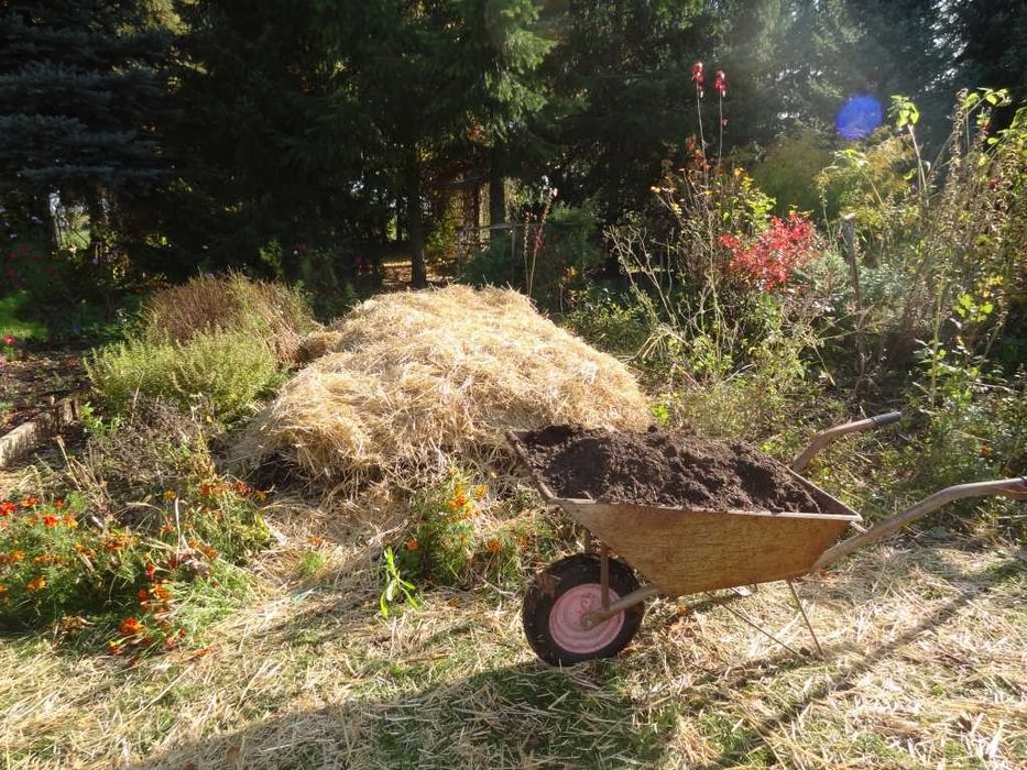 Oddam miejsce pod zrębki, eko pod warzywa, ZA DARMO,Ochojno k. Krakowa