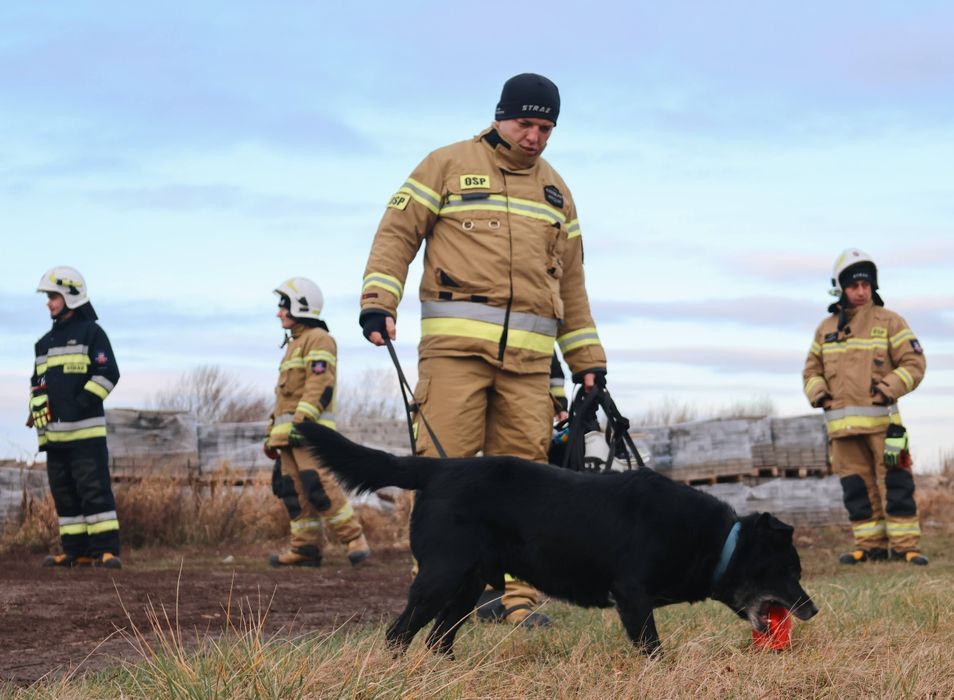 Magia świąt potrzebna