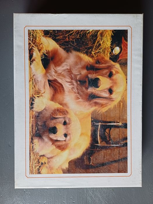 Jigsaw puzzle 500 peças