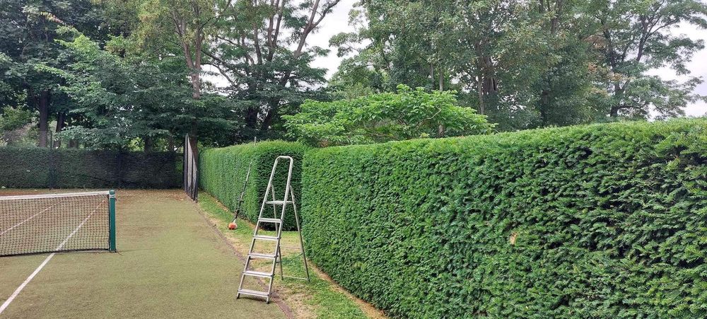 Manutenção e limpeza de jardins